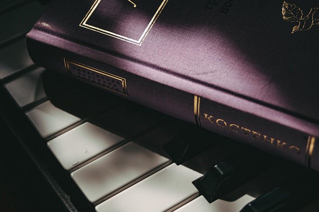 Book Cover - The Silent Melody